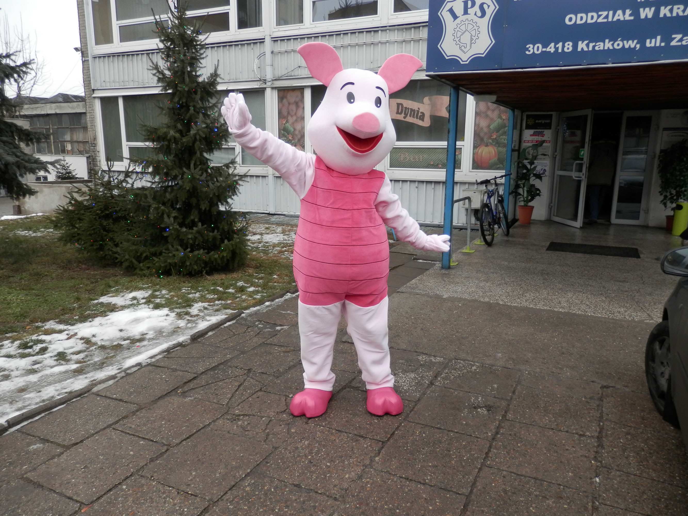 Czy znasz tych 6 czynników, które pozwolą Ci zamówić świetne stroje reklamowe? Świnia